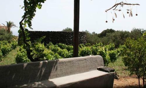 Agroturismo Pantelleria Le Ballute