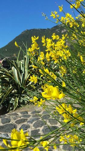 Agroturismo Pantelleria Le Ballute