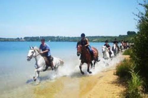 Bed & Breakfast Maison D'h�tes Labastide