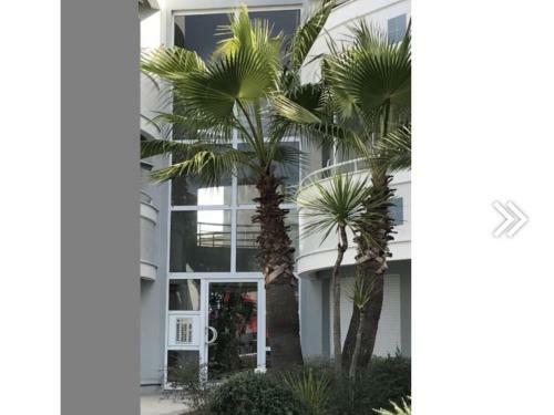 Apartamento F2 Immeuble Les Pieds Dans L'eau