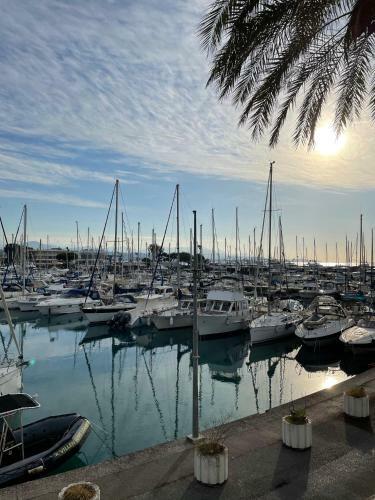 Apartamento Studio Vue Imprenable Port Marina Baie Des Anges