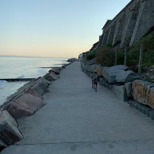 Apartamento Gite De Mer