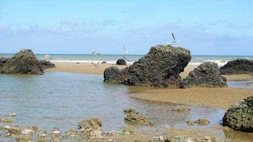 Apartamento Plazza Front De Mer