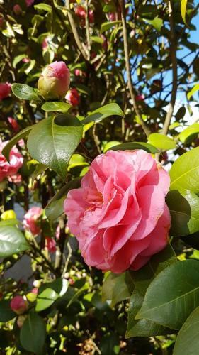 Bed & Breakfast Le Clos Des �cureuils