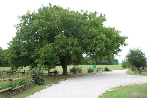 Hostal Ferme Des Champs