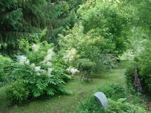 Bed & Breakfast La Haie � Cerf