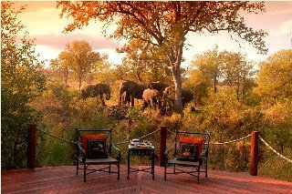Hotel Hoyo-hoyo Tsonga Lodge