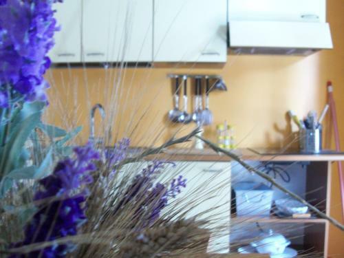 Agroturismo Agriturismo I Casamenti