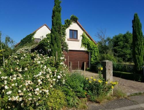 Bed & Breakfast Chambre D'h�tes de Charme, Un Temps En For�t