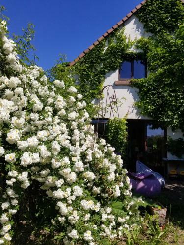 Bed & Breakfast Chambre D'h�tes de Charme, Un Temps En For�t