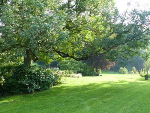 Le Jardin Du Rossignol