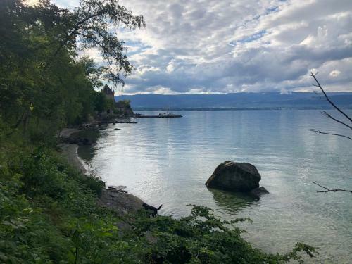 A Room With A View - Maisonnette Dans Bourg M�di�val Au Bord Du Lac L�man