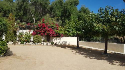 Apartamento R�sidence U Melu Grand T2 Vert � L'�tage