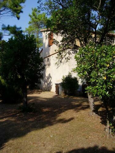 Villa Ch�rie 120m2 - 50m de La Plage Latesta