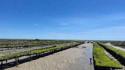 Maison Sur La Plage Avec Vue Mer Panoramique