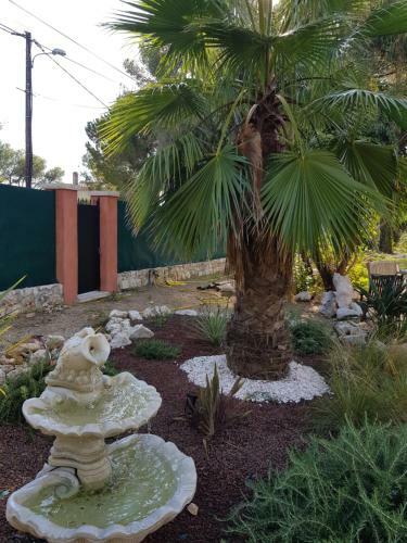Bed & Breakfast Mas D'azur