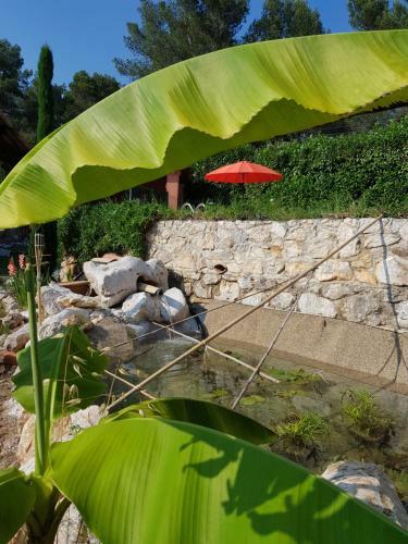 Bed & Breakfast Mas D'azur