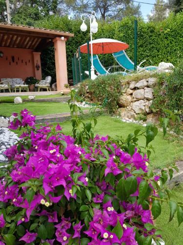 Bed & Breakfast Mas D'azur