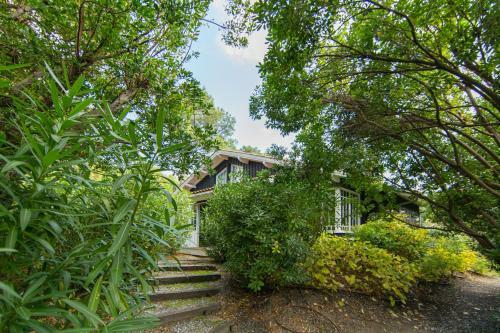 Villa Lolita Pour 6 Pers Au Cap Ferret