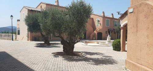 Apartamento Vacance Location Mer Piscine Var Sud Terrasse