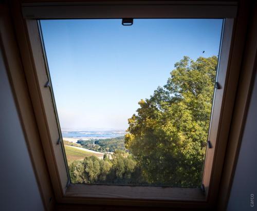 Hostal Penzion Proneco