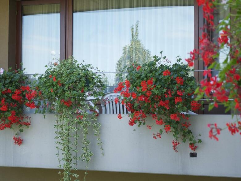 Apartamento Les Loges Du Ried
