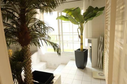 B&B Le Patio En Ville - Chambres D'h�tes