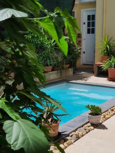 B&B Le Patio En Ville - Chambres D'h�tes