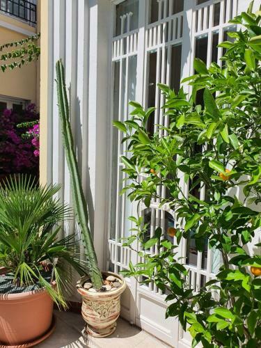 B&B Le Patio En Ville - Chambres D'h�tes