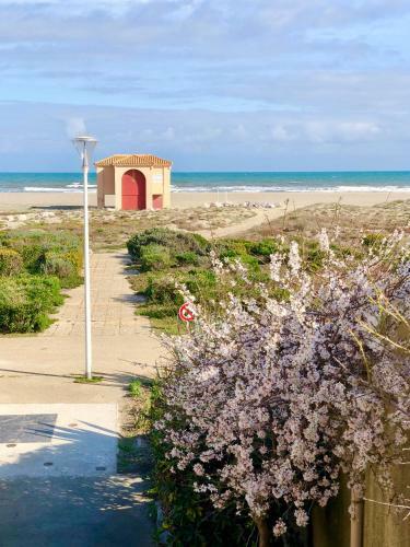 La Perle Vue Mer Pieds Dans L'eau Clim Wifi