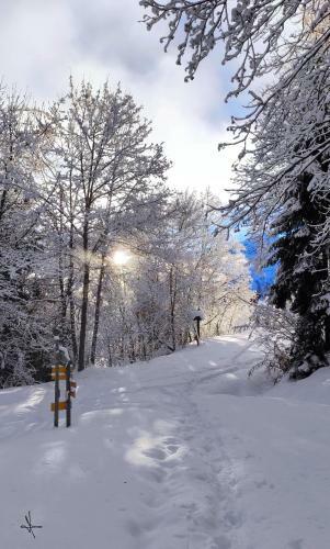 Aparthotel R�sidence Go�lia Les Terrasses Du Corbier