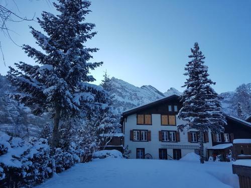 Hostal Pension Gimmelwald