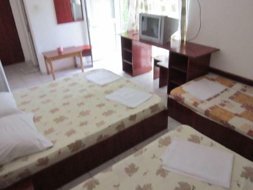 Hostal Pensiunea Ruxandra