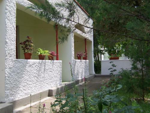 Hostal Pensiunea Ruxandra