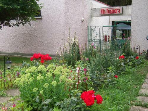 Hostal Pensiunea Ruxandra