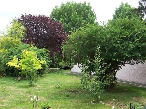 Hostal Pensiunea Ruxandra
