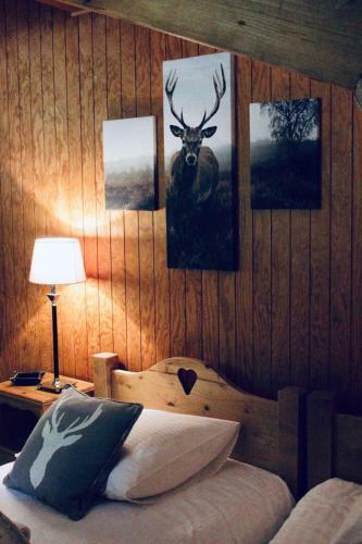 Chalet Le Bouton D'or