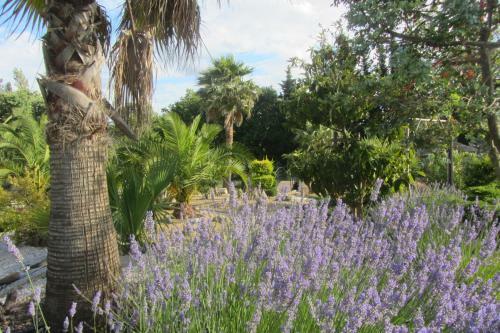 Bed & Breakfast La Palmeraie