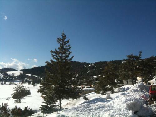 Apartment Face Aux Pistes