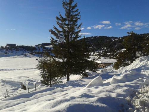 Apartment Face Aux Pistes