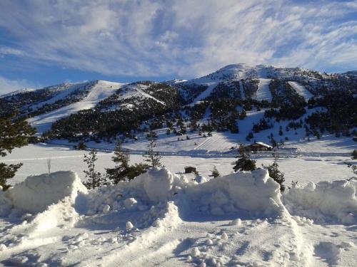 Apartment Face Aux Pistes