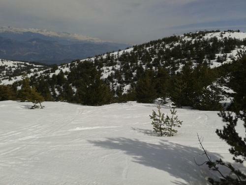 Apartment Face Aux Pistes