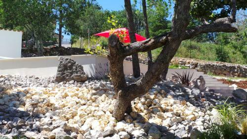 Domaine Vilonapa - Villa Figuier Et Villa Murier