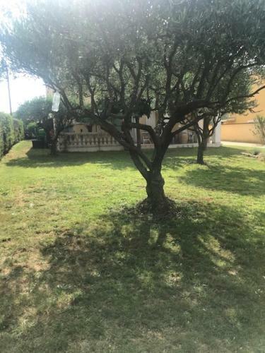 Apartamento Le Carabiol