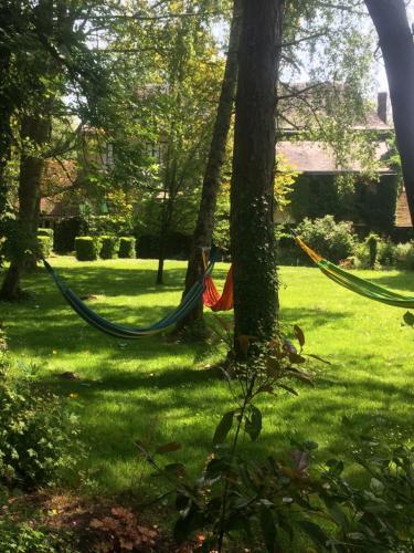 Bed & Breakfast Moulin de Champrond -montmirail -sarthe