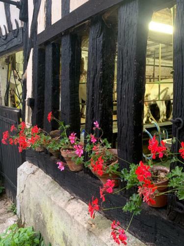 Bed & Breakfast Moulin de Champrond -montmirail -sarthe