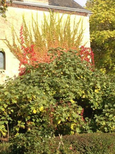 Bed & Breakfast Moulin de Champrond -montmirail -sarthe
