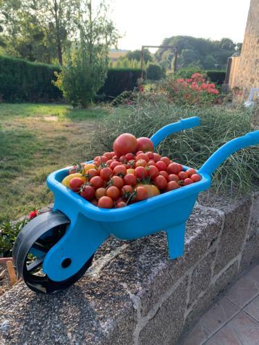 Bed & Breakfast La Basse Monniere