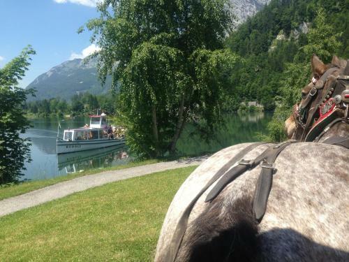 Hostal Reitbauernhof Schartner