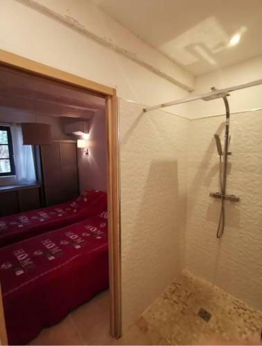 Villa Napol�on Piscine&jacuzzi